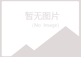 铜官山区沙砾公益组织有限公司